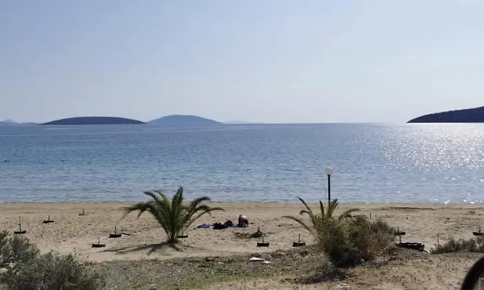 Angelo Cafe Hotel 2*